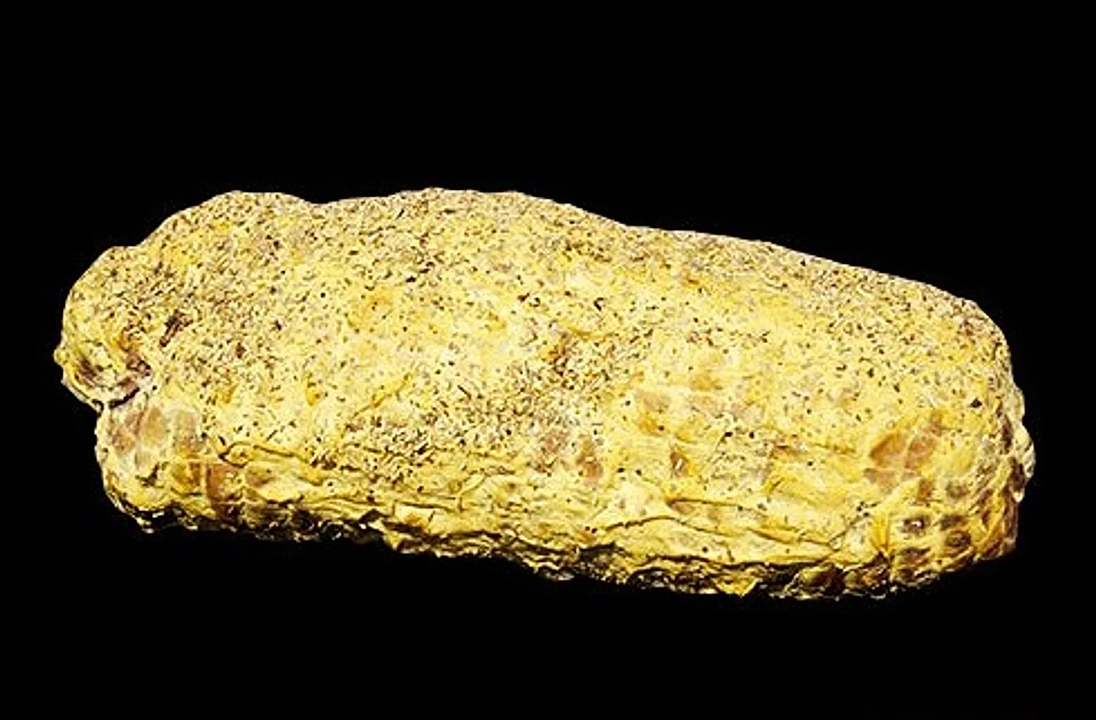 roti-cuit-a-la-moutarde.jpg