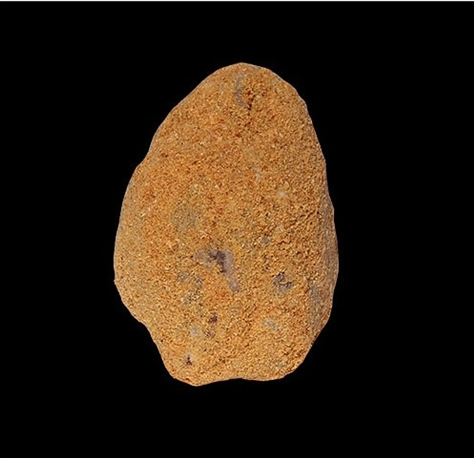 jambonneau-pane.jpg